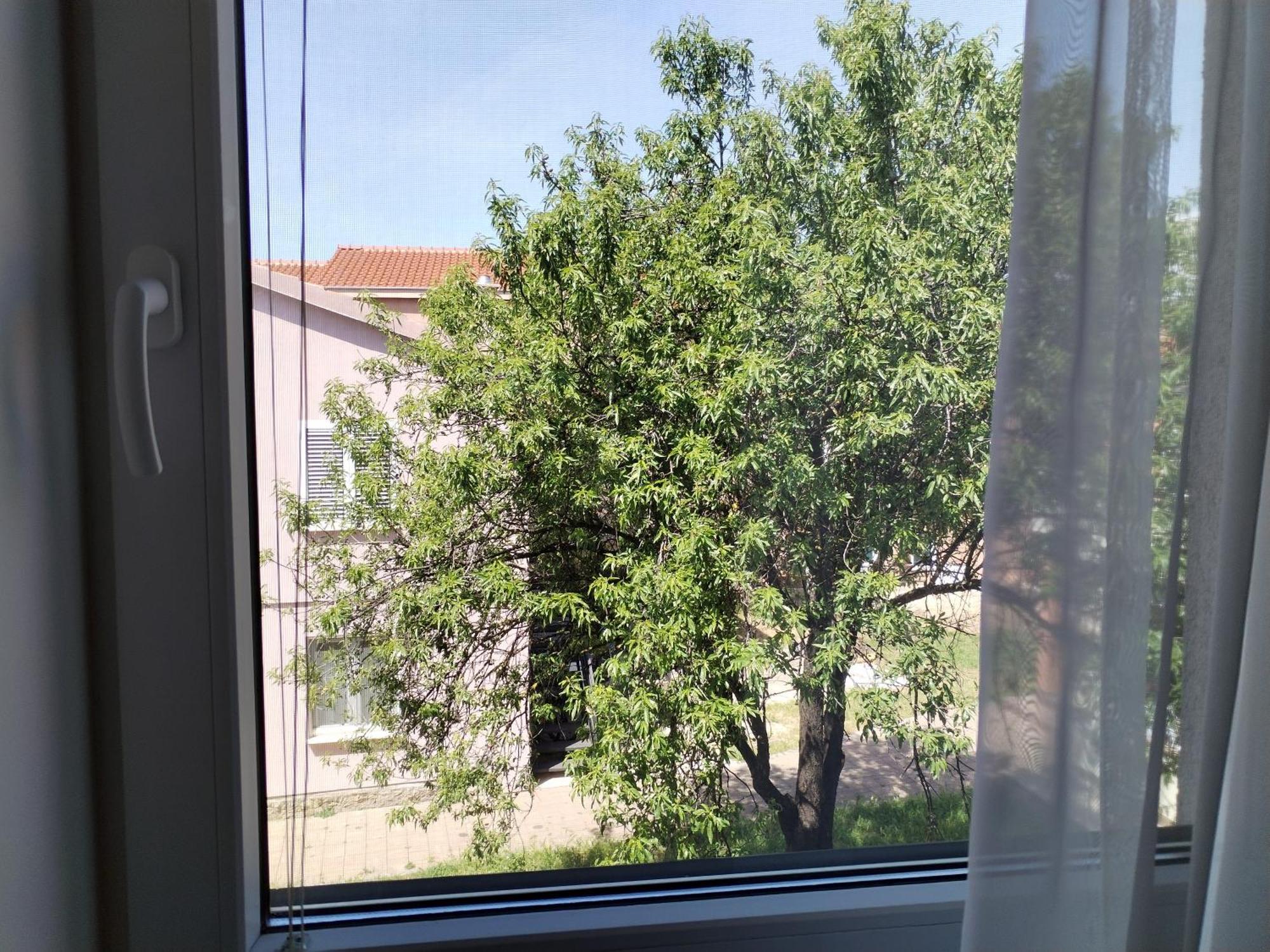 Family Apartment B&B Biograd Na Moru Eksteriør billede